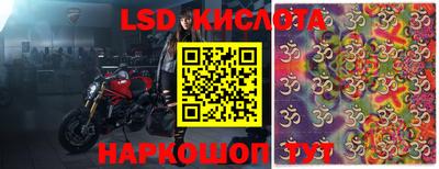 прущие крисы Кандалакша