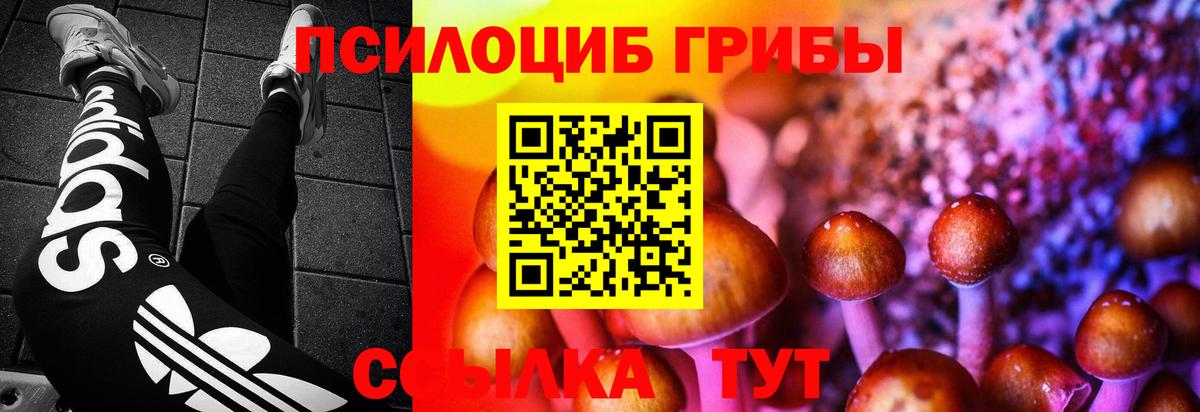 Псилоцибиновые грибы мухоморы Кызыл